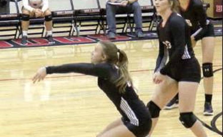 LADY DOG VOLLEYBALL