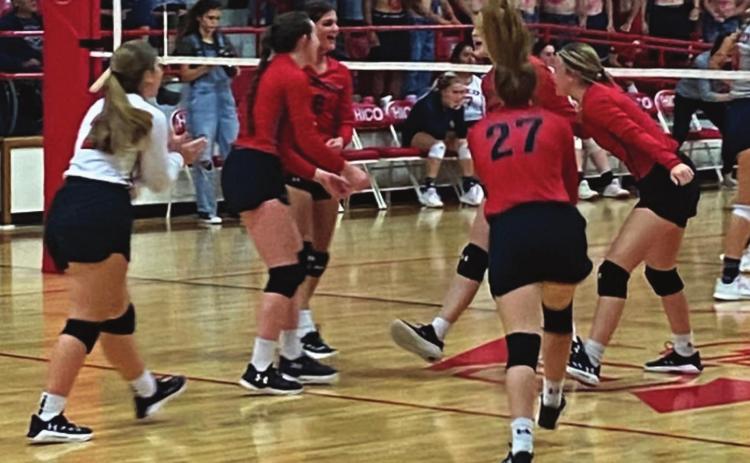 BULLDOG VOLLEYBALL