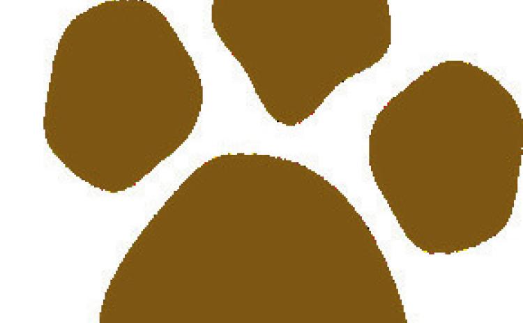 Hamilton ISD keeps summer hours, offers student meals