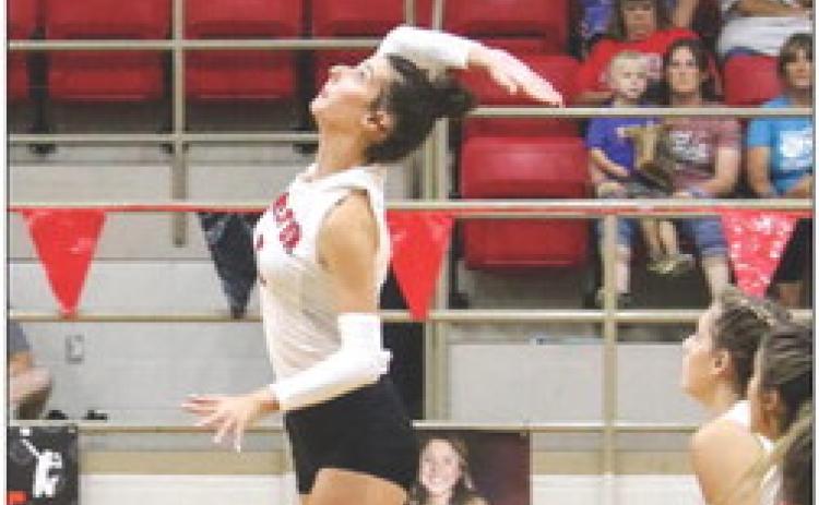 Lady Dogs make clean sweep