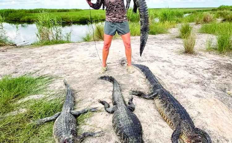 Later, gator