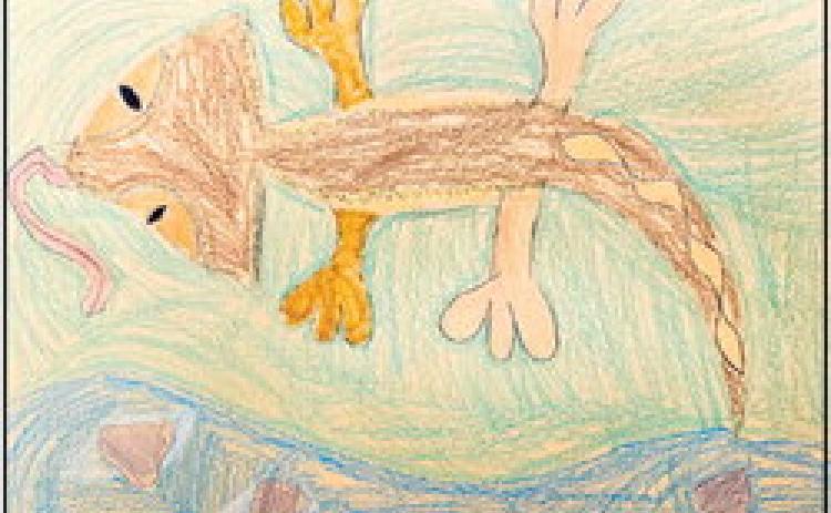 Bulldog Artist of the Week