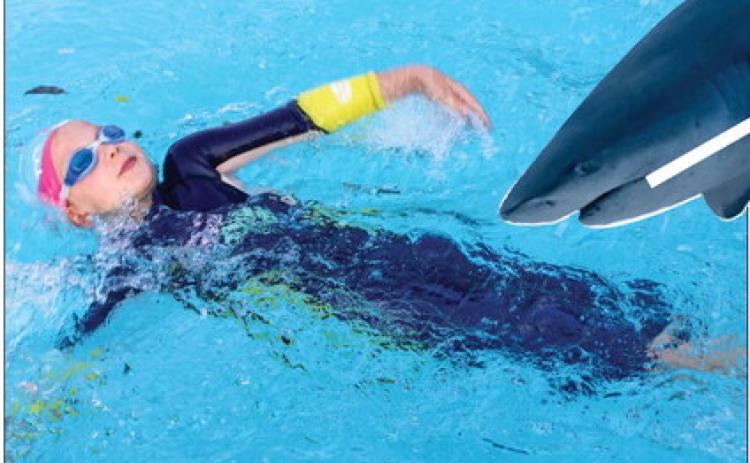 BULLSHARKS