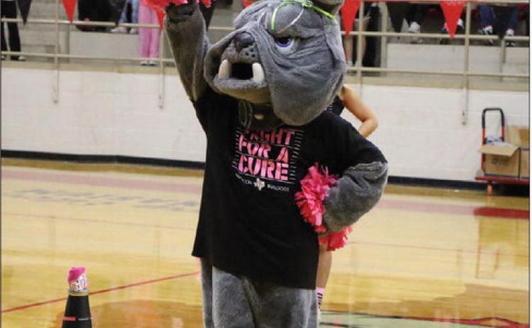 Hamilton Independent School District mascot Sparky joins in on the Pink Out Day pep rally Oct. 16 with bright pom-poms and a “Fight for a Cure” cancer awareness shirt. Pink Out Day sees the campus, student body and staff show off as much pink as possible in honor of National Breast Cancer Awareness Month. Photo by Jaxon Hansard