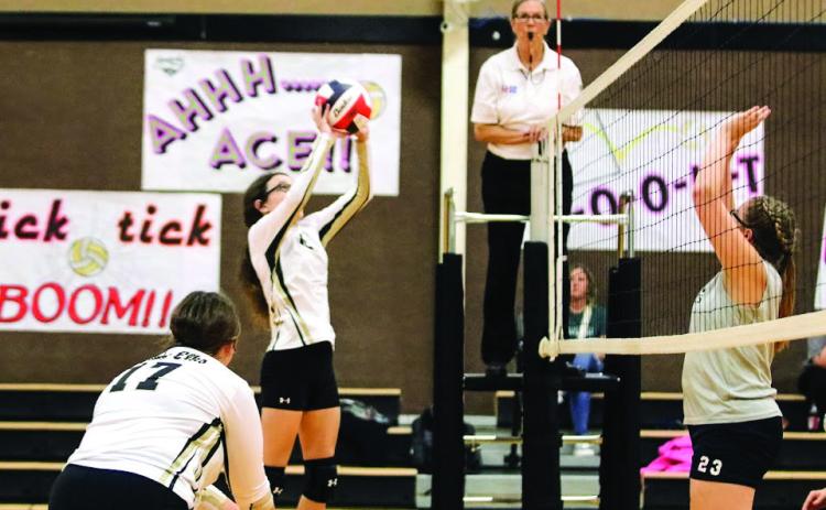 ELK Sports