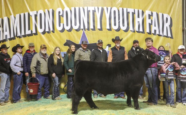 Adams shows grand champ market steer