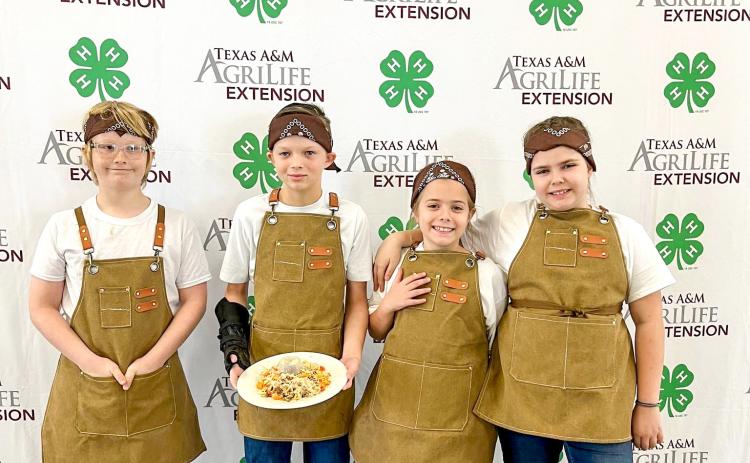 4-H DISTRICT FOOD CHALLENGE