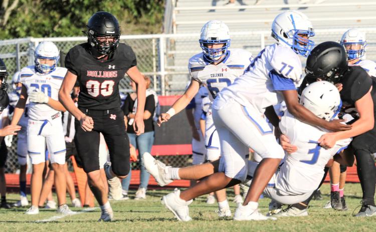 Gridiron Action