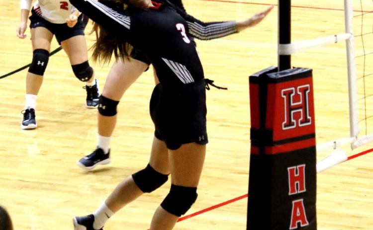 LADY DOG VOLLEYBALL