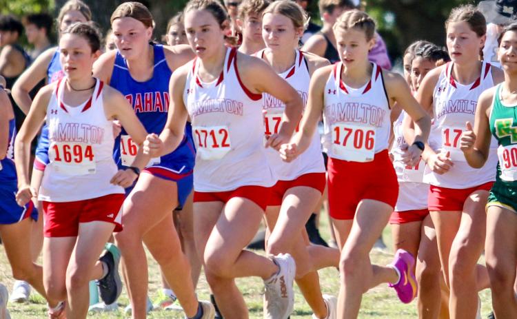 XC gets clocked in Brock; Regional bid begins Monday