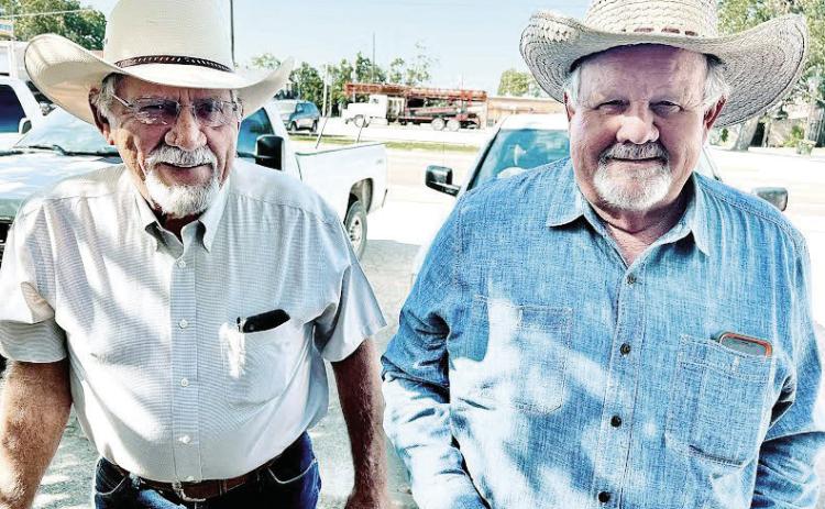 Former commissioners want county to change road management plan