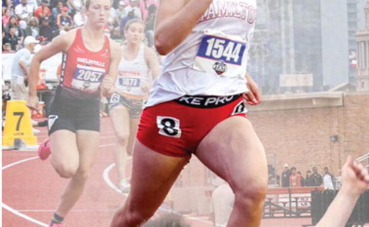 Bulldog Sports