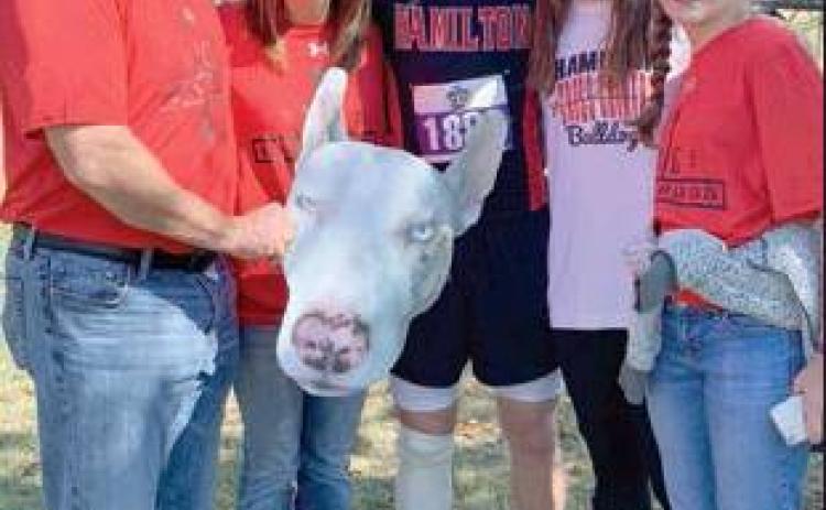 BULLDOG CROSS COUNTRY