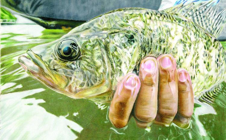 Fish art contest open to Texas youth