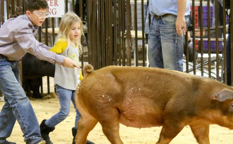 Pee Wee Pig Action