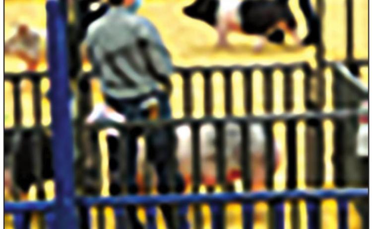 Area Stock Show Updates