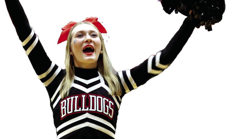 Bulldog