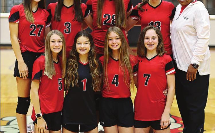 BULLDOG VOLLEYBALL