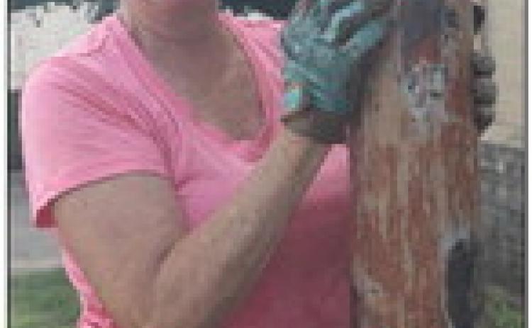 Newcomer finds ways to beautify hometown