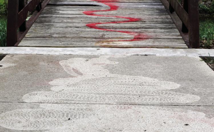 Reward offered for vandal ID