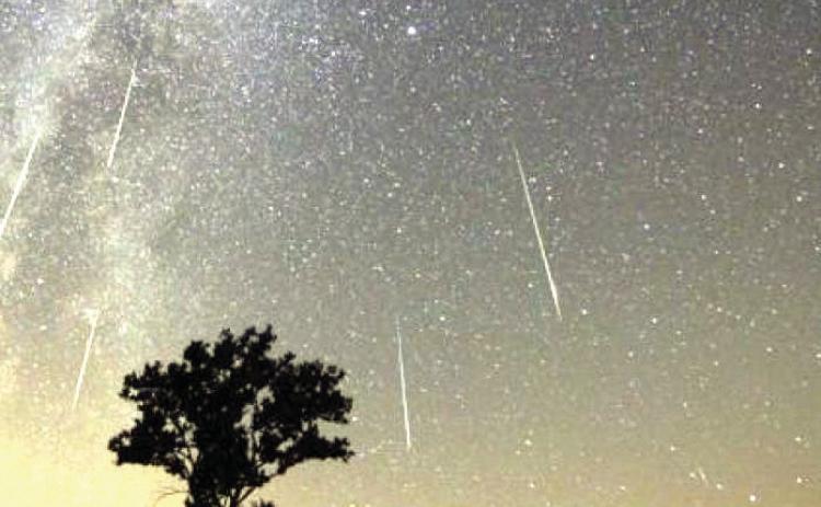 Perseid showers visible this week