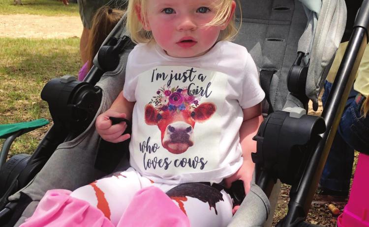 A GIRL WHO LOVES COWS