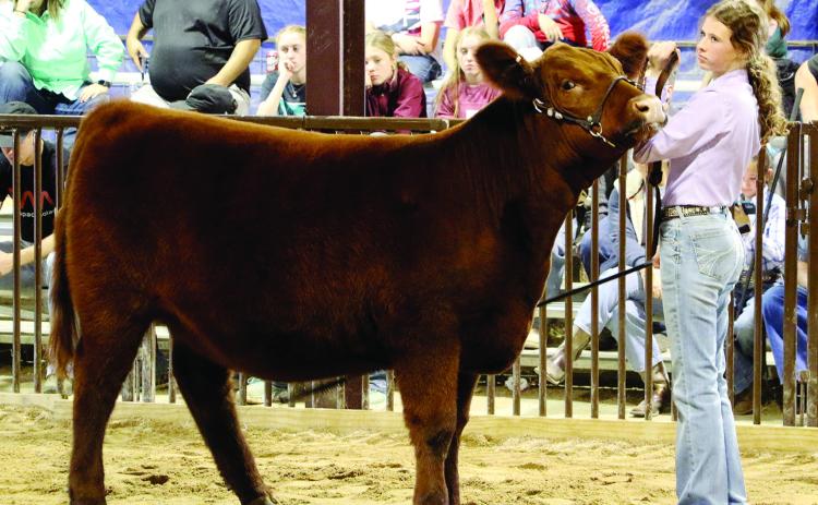 2023 show tops $250K