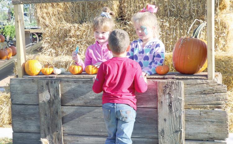 PUMPKIN PEDDLERS