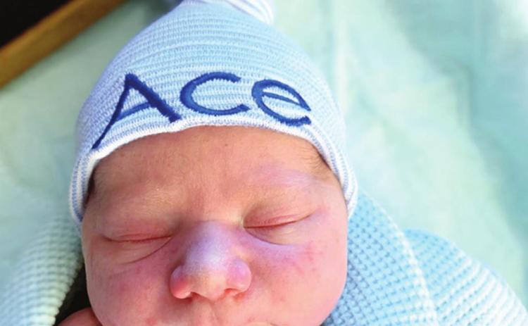 Welcome little ones!