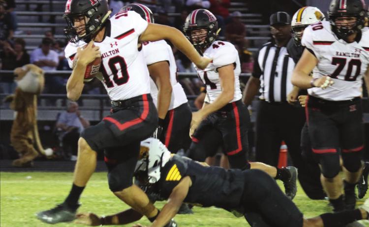 Dogs whip up some Wampus Cat, fire up grill for Valley Mills Eagles