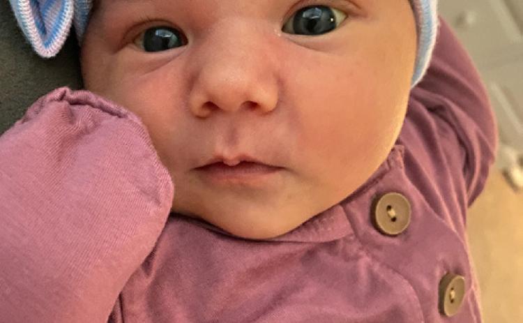 It’s a Sister!