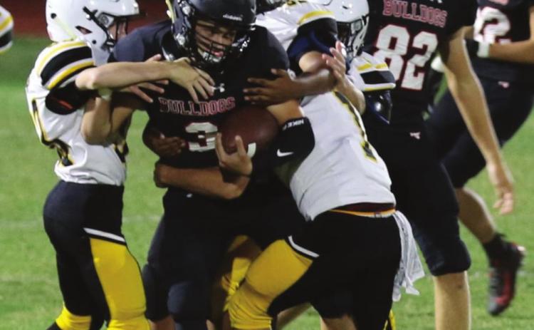 Itasca no task for young Dogs