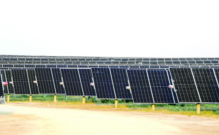 Solar farms: At what price?