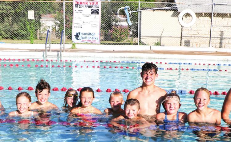 STATE BOUND SHARKS 