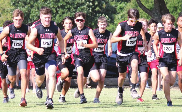 XC Dogs rock in Brock