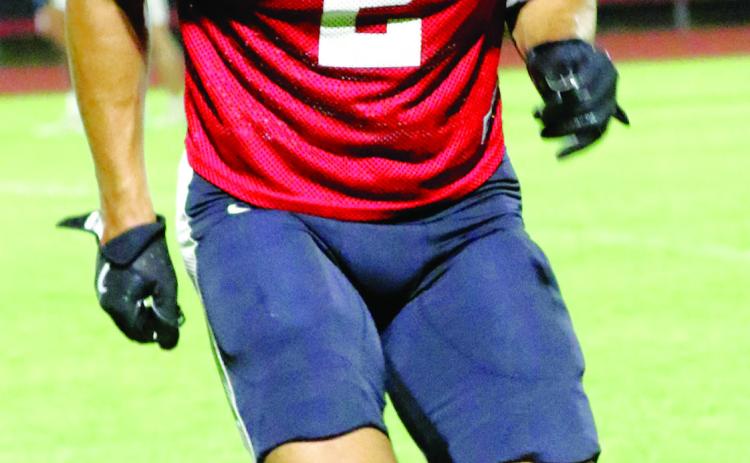 Mad Dogs to enter Lions’ den
