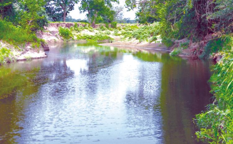 Lone Star Healthy Streams will host a workshop on Aug. 11 in Gatesville focused on land stewardship, soil health, water quality and conservation strategies. Photo by Michael Miller/Texas A&amp;M AgriLife