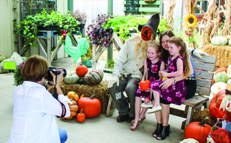 Pumpkin Patch Saturday at market