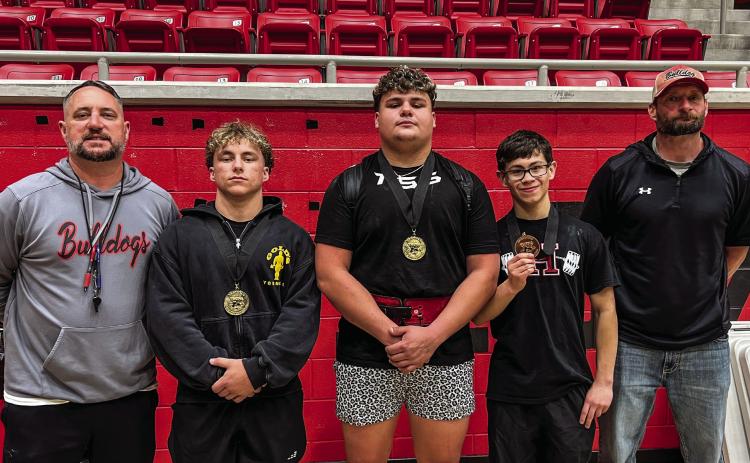 Dogs smash regional records