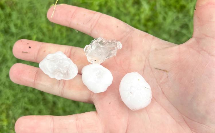 Oh, hail!