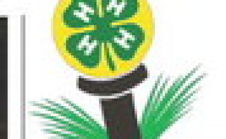 Fore! for 4-H