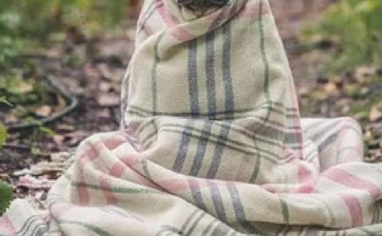 Pet safety amid virus