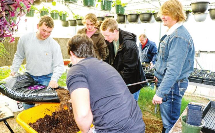 Plant sales this weekend