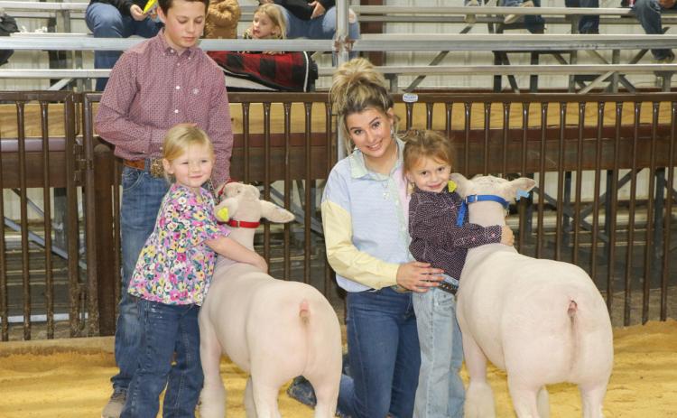 Stock Show Fun