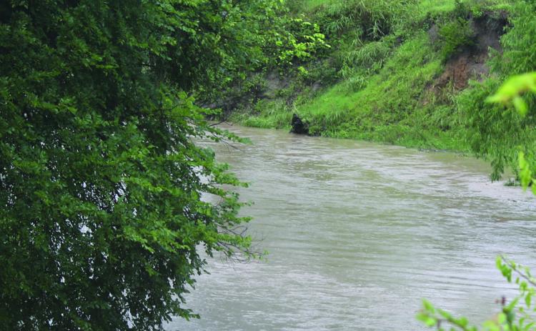 Turn around, don’t drown!
