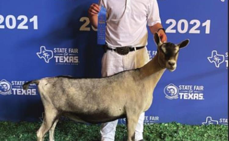 STATE FAIR GRAND CHAMPION