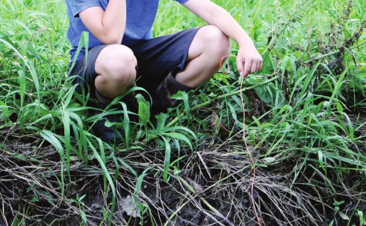 CRAWDADS & CAMPFIRES