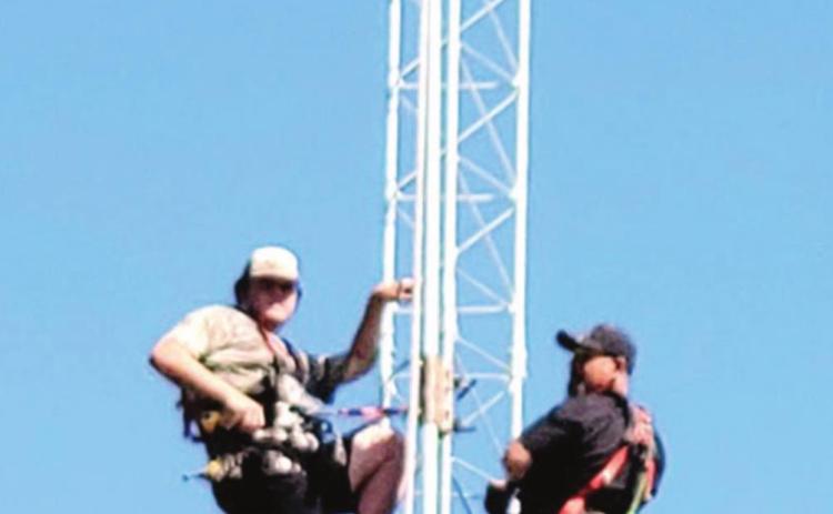 Rountree tops trees to deliver internet to country dwellers