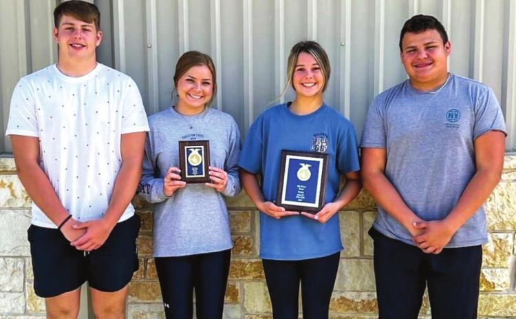 The Hamilton FFA