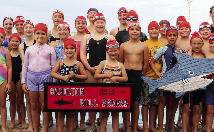 2024 HAMILTON BULL SHARKS COMPETE AT TAAF REGIONAL SWIM MEET